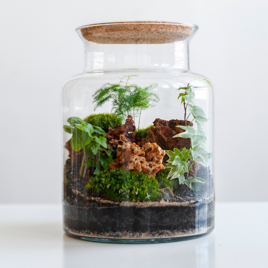 BABIDA Drinks Kit & Carafe .... AND Terrarium Kit Giveaway