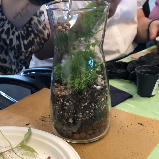 BABIDA Drinks Kit & Carafe .... AND Terrarium Kit Giveaway