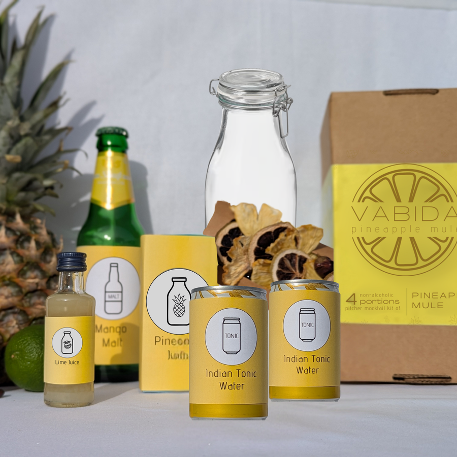VABIDA Pineapple Mule Drinks Kit & Gift Hamper | Alcohol-Free Cocktail Gift Set Picnic Edition