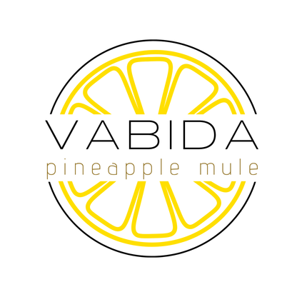 VABIDA Pineapple Mule Drinks Kit & Gift Hamper